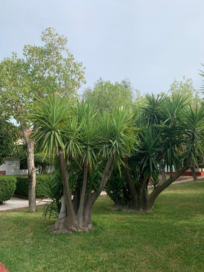 Alykes Park Bungalows Exterior foto